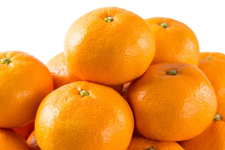 ZD92069_ãšã³ãã¡ãŒããŒã®ãã ãã æç°ã¿ãã 10kg (ãµã€ãºæ··åã»ç§ã»åªå)ãæ°ééå®ã