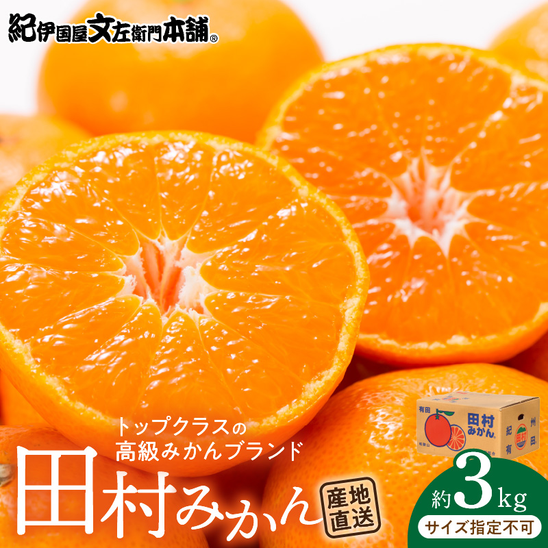 V7454_【2026年先行予約】田村みかん／特選ギフト品3kg【サイズ指定なし】