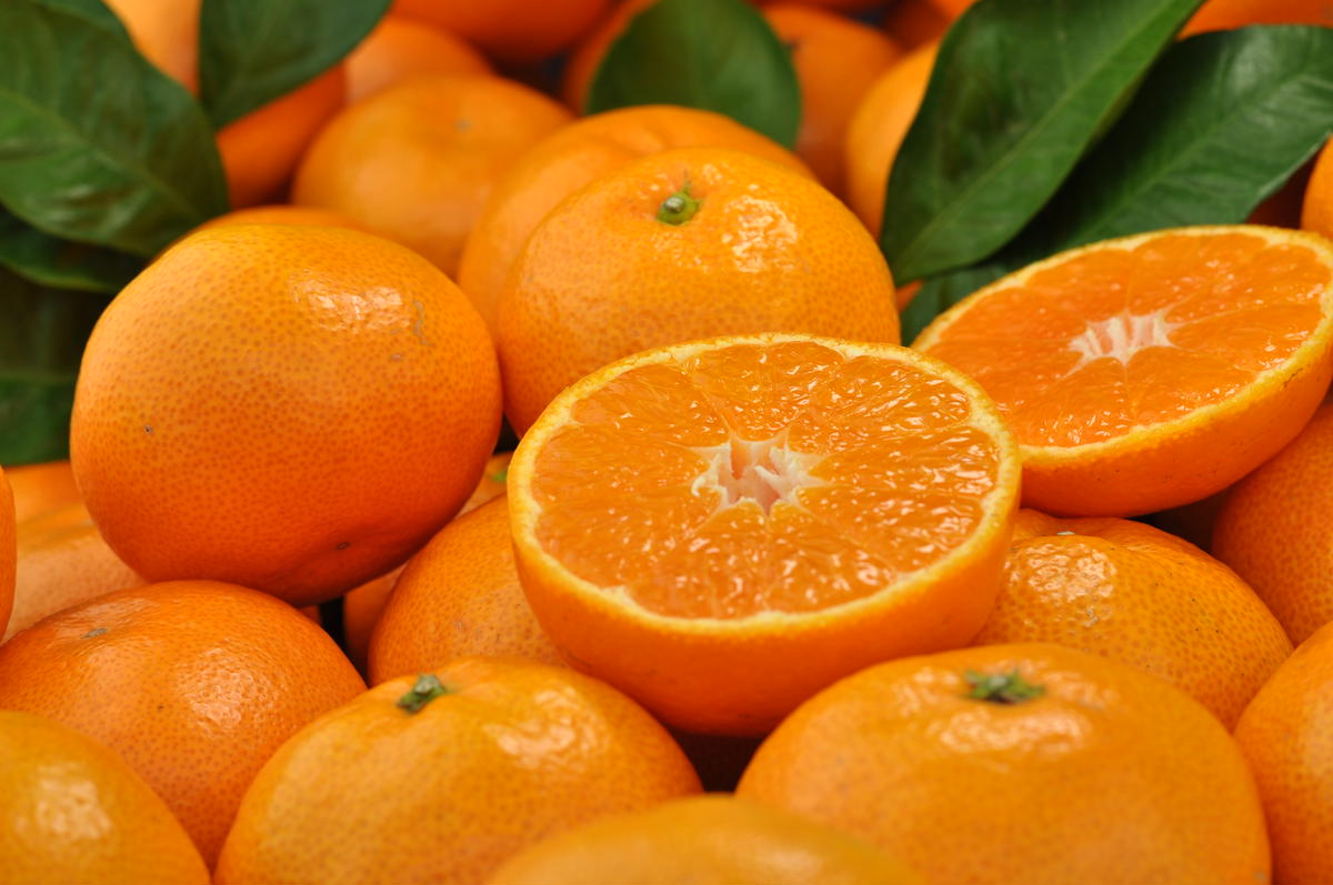 V7454_田村みかん／特選ギフト品3kg【サイズ指定なし】