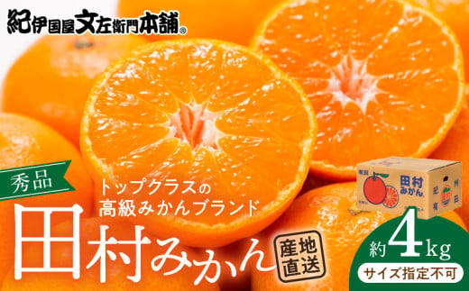 V7453_田村みかん／4kg秀品 【サイズ指定なし】