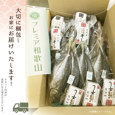 AD6003n_魄ョ鬲壼撫螻九ョ 繧「繧ク縺ョ 蟷イ迚ゥ繧サ繝繝 (逵溘≠縺伜、ァ4譫 逵溘≠縺伜ー6譫 荳ク縺ゅ§4譫)