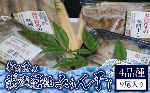 ZD6179n_和歌山の近海でとれた新鮮魚の湯浅醤油みりん干し4品種9尾入りの詰め合わせ