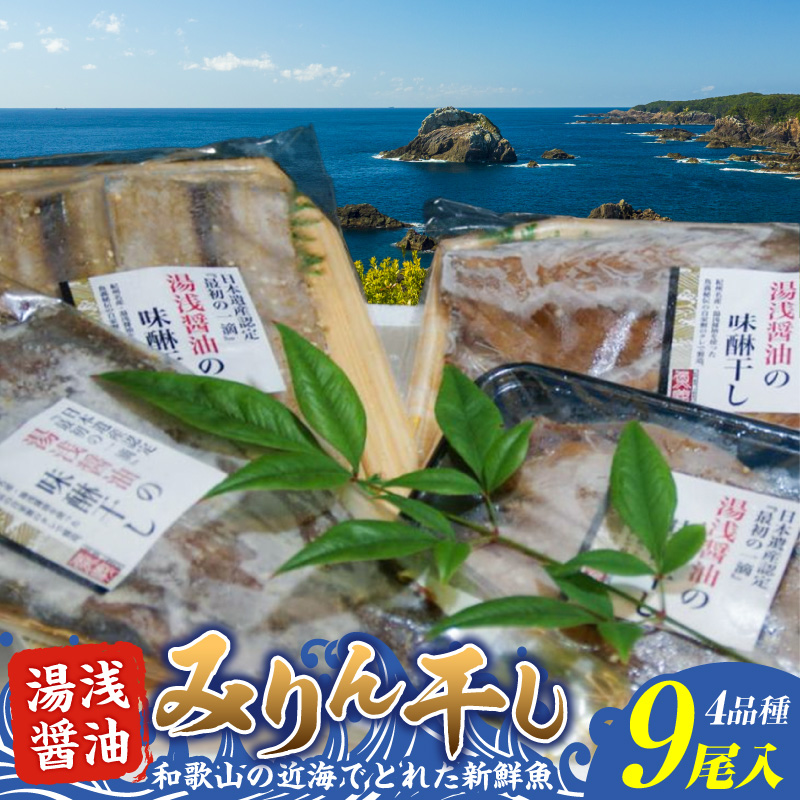和歌山の近海でとれた新鮮魚の湯浅醤油みりん干し4品種9尾入りの詰め合わせ_ZD6179n