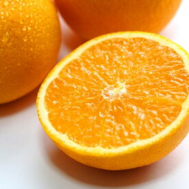 ZD6113n_【2026年先行予約】【産直】有田産清見オレンジ 約5kg (秀品サイズおまかせ)