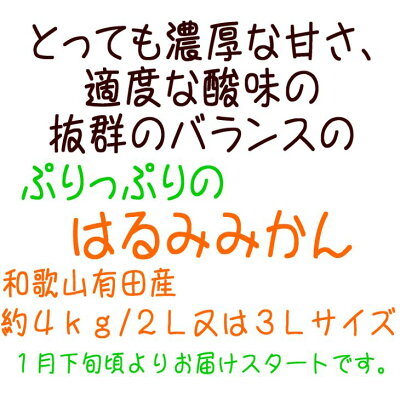 AB6048n_【先行予約】和歌山有田の濃厚 はるみ 4kg (2L～3Lサイズ)
