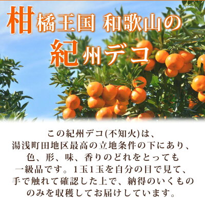 G7063【2026年先行予約】高級ブランド 田村の 完熟紀州デコ(不知火) 15玉～28玉【でこぽん デコポン しらぬい 不知火 柑橘】