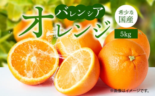 G7079_ 希少 国産 秀品 バレンシアオレンジ 5kg 果汁 豊富 糖度 高い 甘い 爽快感 香り 酸味 味わい スッキリ 栄養補給 柑橘 オレンジ 果物 フルーツ 果実 食品 食べ物 おやつ デザート お取り寄せ お取り寄せフルーツ 和歌山県 湯浅町 送料無料