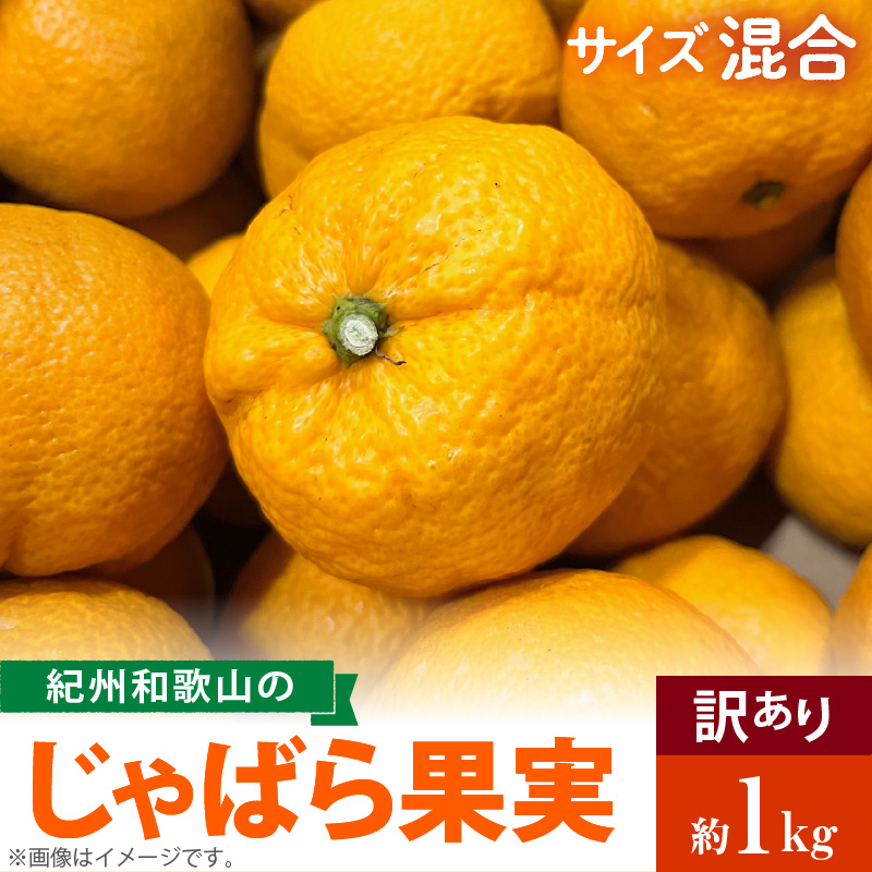 AB7033n_（国産）紀州和歌山の じゃばら 果実（訳あり ジャバラ 家庭用）1kg 国産 紀州 和歌山 じゃばら 果実 訳あり 家庭用
