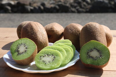 ZE6362n_【2026年先行予約】キウイフルーツ 約 1.2kg M ～ 4Lサイズ 混合 手選別 キウイ グリーンキウイ 人気 フルーツ 果物 果肉 ジューシー 葉酸 妊婦 ビタミンC ビタミンE 栄養満点 栄養補給 鮮やか 国産 あしのや 産地直送 お取り寄せ 和歌山県 湯浅町 送料無料