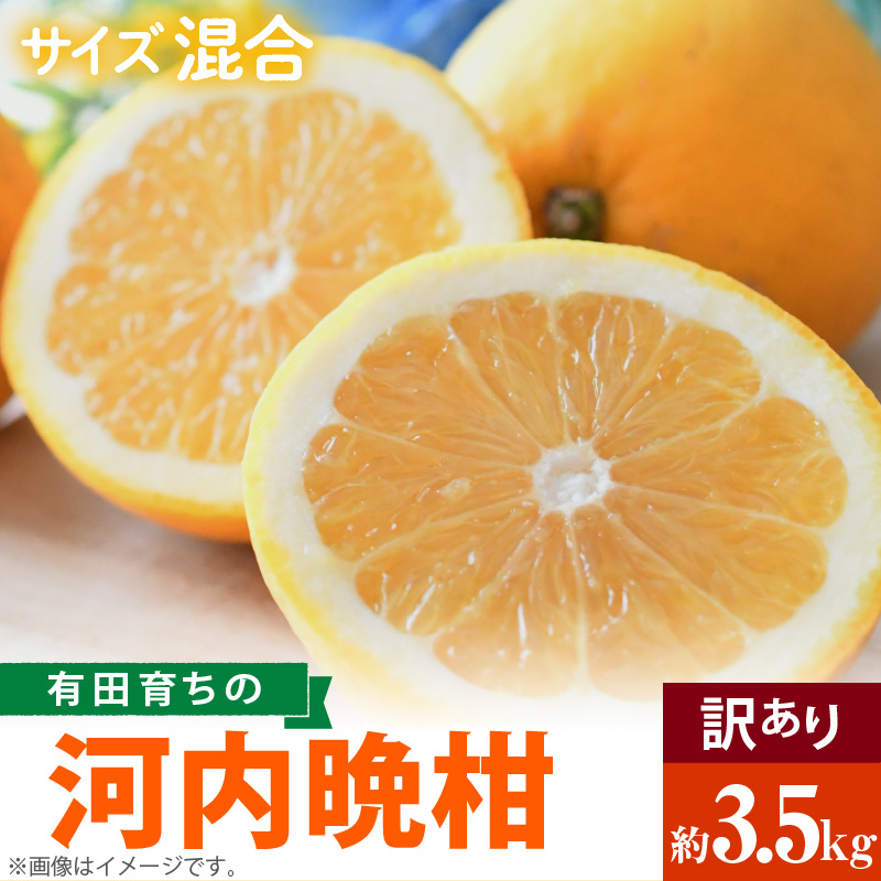 AB7041n_有田育ちの 河内晩柑 【訳あり 家庭用】3.5kg (サイズ混合)【ミカン 蜜柑 灘オレンジ サウスオレンジ 柑橘 フルーツ 和歌山 有田】