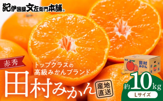 V7442_田村みかん／特選ギフト品10kg【Lサイズ】赤秀／紀州和歌山有田郡湯浅町田村地区産／最高級プレミアムブランドの田村ミカン／紀伊国屋文左衛門本舗(お届け日指定不可)