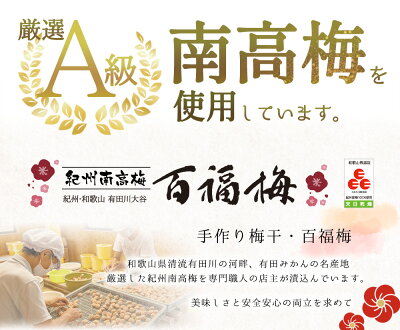 AR6005_紀州の梅干し 有田みかん蜂蜜梅（紀州南高梅／500g）化粧箱入り 塩分8％