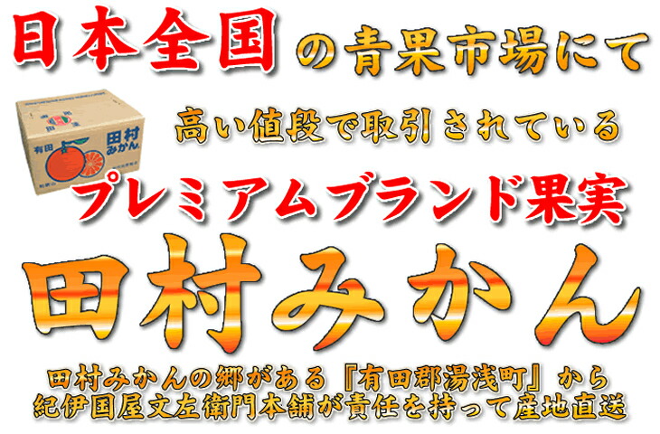 V6055_【2024年 先行予約】田村みかん特選ギフト品 10kg 【Mサイズ】赤秀