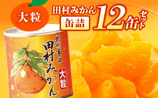 AY6003n_田村みかん 缶詰 12缶セット