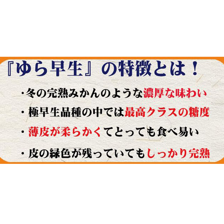 CC6201_濃厚な味わい ゆら早生みかん 7.5kg (SS～2Lサイズ混合) 希少品種 有機質肥料100％