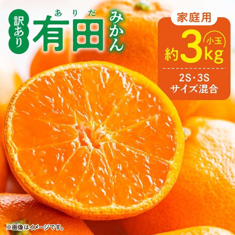 DZ6033_【2026年先行予約】家庭用 ご有田みかん 和歌山 小玉(2S,3Sサイズ混合) 約3kg