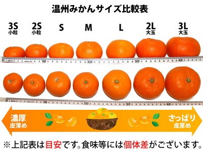 ZA95015_田村みかん 約4kg (Lサイズ)【紀州グルメ市場】