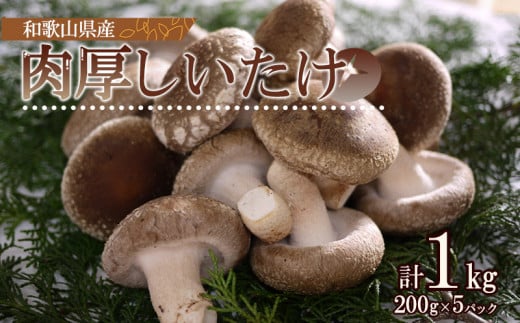 DM6003_最高級 肉厚椎茸 清流椎茸 1kg (200g×5パック)