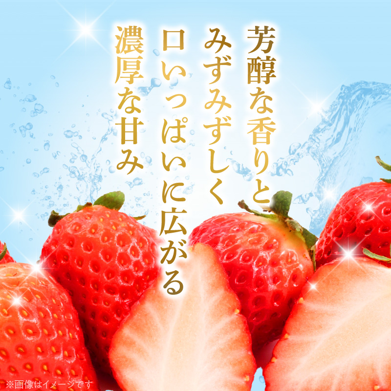 AB7334_【2026年先行予約】朝摘み 完熟 まりひめ いちご 約300g×2パック (合計約600g)