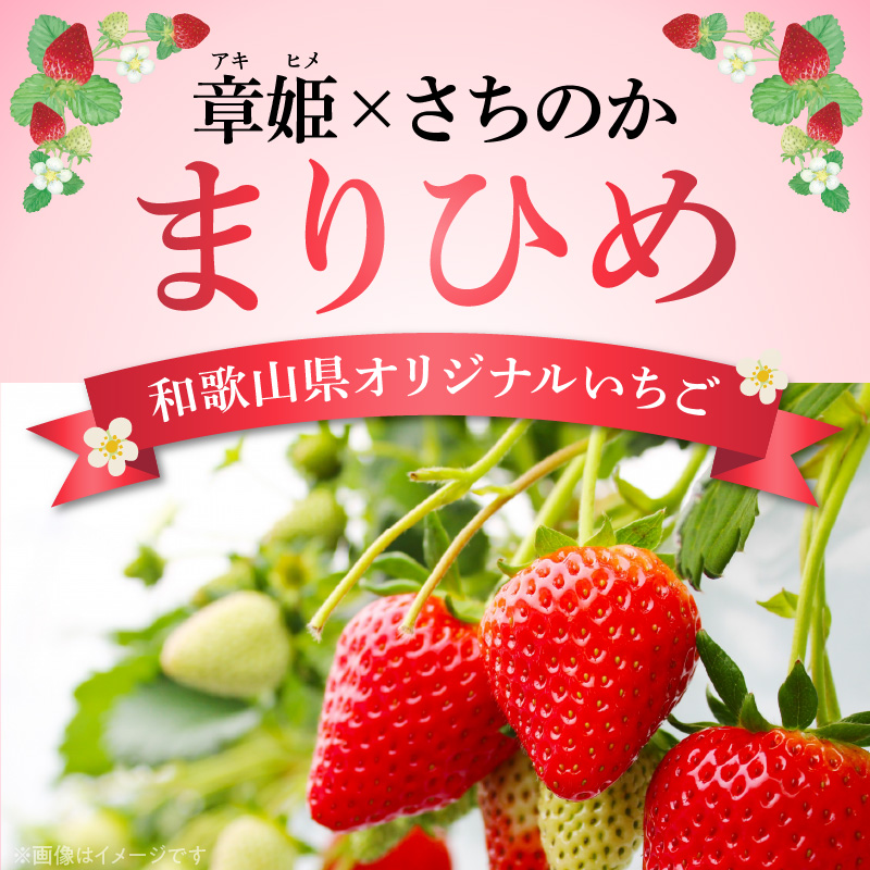 AB7334_【2026年先行予約】朝摘み 完熟 まりひめ いちご 約300g×2パック (合計約600g)