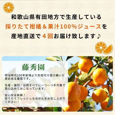 ZT6234n_ 【定期便 4回】こだわりの定期便 藤秀園 【ミカン 蜜柑 柑橘 温州みかん 和歌山 有田 楽天限定】【みかん 柑橘 定期便 頒布会 和歌山】