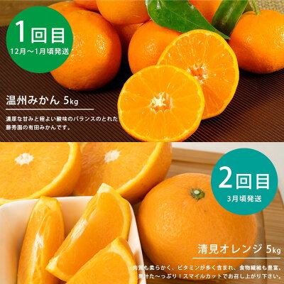 ZT6234n_ 【定期便 4回】こだわりの定期便 藤秀園 【ミカン 蜜柑 柑橘 温州みかん 和歌山 有田 楽天限定】【みかん 柑橘 定期便 頒布会 和歌山】