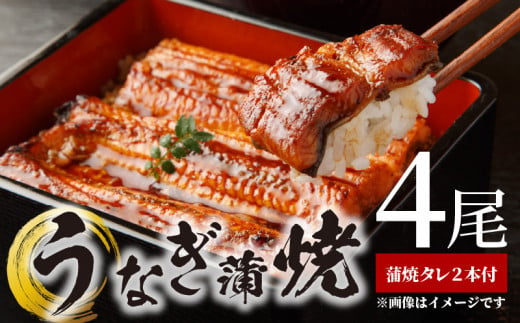 BC6007_うなぎ蒲焼 4尾 & 蒲焼タレ 2本 セット 国産 安全 ふっくら うなぎ 特製 タレ 土用 丑の日 こだわり 蒲焼き 贈答 贈り物 ギフト 急速冷凍 うな丼 うな重 う巻き ひつまぶし うなむすび 濃厚 冷凍 しいば水産 角長 お取り寄せ 和歌山県 湯浅町 送料無料