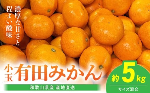 BL6173_【産地直送】和歌山県産 有田みかん 小玉 5kg
