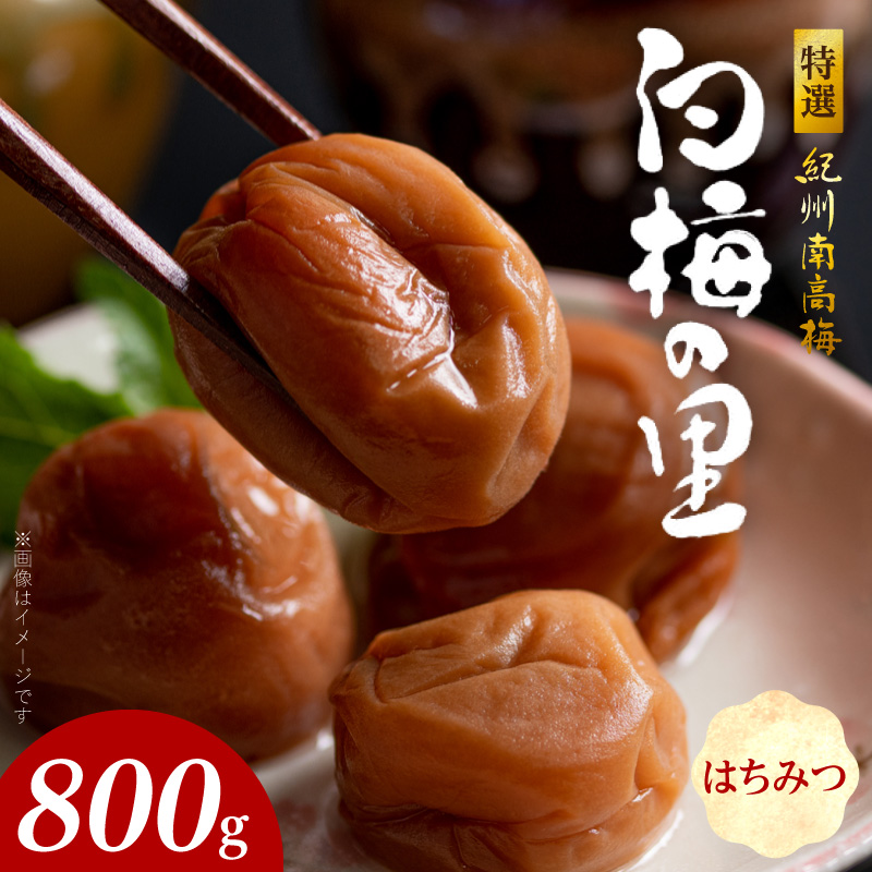 SF2003_特選紀州南高梅「白梅の里」はちみつ　800ｇ