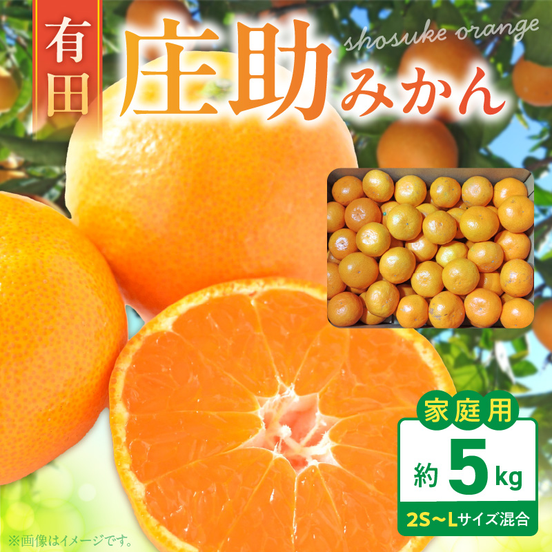 BK6015_【2026年先行予約】庄助みかん (家庭用・サイズ混合)  約5kg