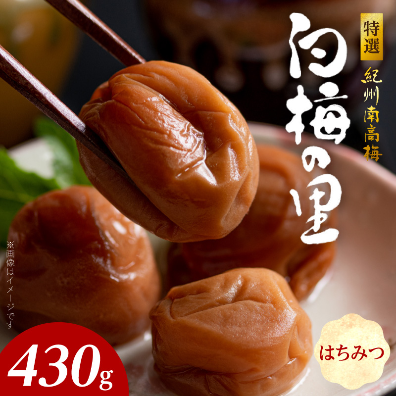 SF2011_特選紀州南高梅「白梅の里」はちみつ　430ｇ