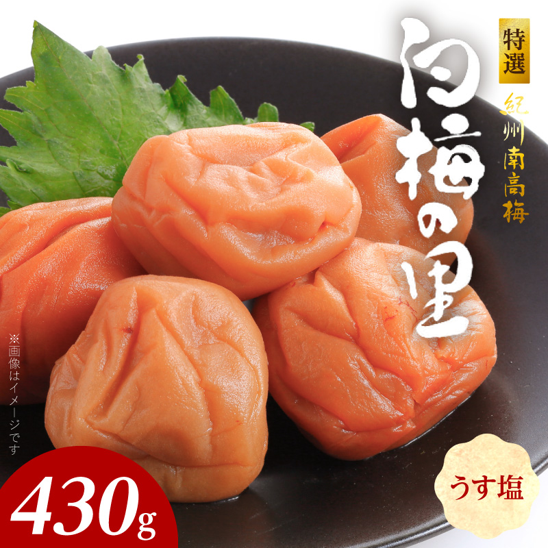SF2008_特選紀州南高梅「白梅の里」うす塩味　430ｇ