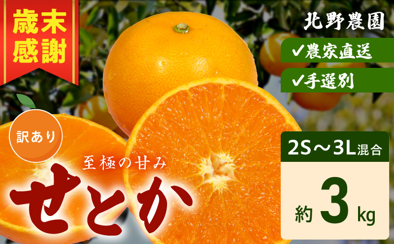 DZ6208_【2026年先行予約】訳あり せとか 和歌山 有田 2S～3Lサイズ混合 約3kg