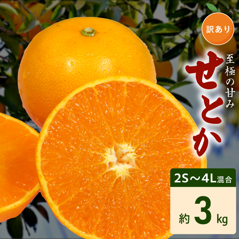 【2027年先行予約】訳あり せとか 和歌山 有田 2S～4Lサイズ混合 約3kg_DZ6208