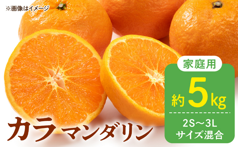 DZ6221_訳あり 家庭用 カラマンダリン なつみ 和歌山 有田  2S～3Lサイズ混合 5kg