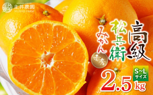 ZS6143n_主井農園 高級 松兵衛みかん 赤秀 2.5kg (S～Lサイズおまかせ)