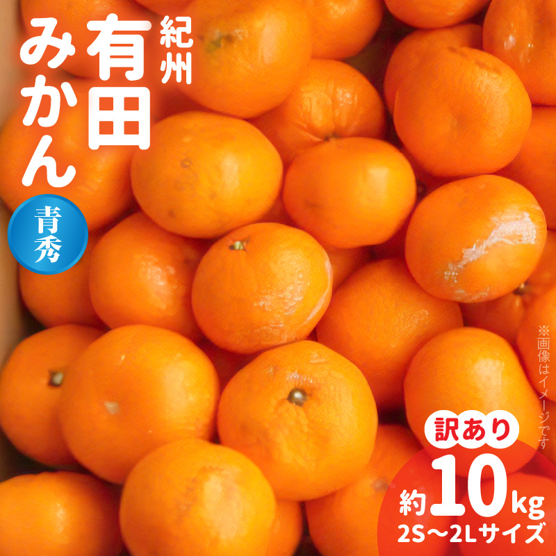 BB6210_紀州 有田みかん 約10kg 2S～2Lサイズいずれか【訳あり 家庭用】【青秀・良】