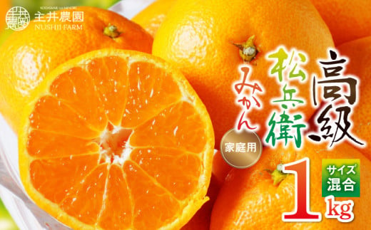 ZS6146_主井農園 高級 松兵衛みかん ご家庭用 1kg お試し (サイズ混合)