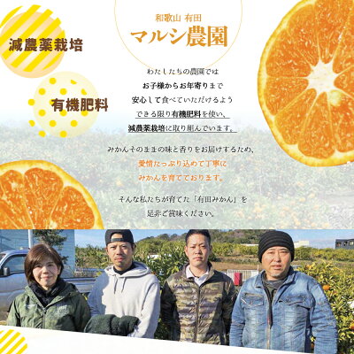 BF6003_【数量限定】【赤秀 特選品】 有田みかん L,2Lサイズ約10kg【ミカン 蜜柑 柑橘 温州みかん 有田みかん 和歌山 贈答 ギフト】