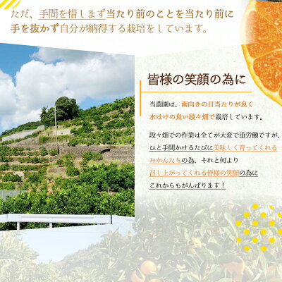 BF6003_【数量限定】【赤秀 特選品】 有田みかん L,2Lサイズ約10kg【ミカン 蜜柑 柑橘 温州みかん 有田みかん 和歌山 贈答 ギフト】