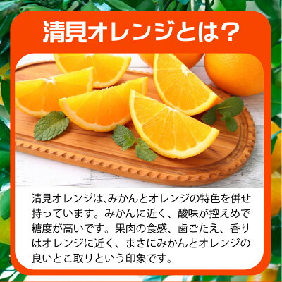 G7066_ã2026幎å
è¡äºçŽããšã«ãããžã¥ãŒã·ãŒ æž
èŠ ãªã¬ã³ãž 5kg