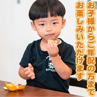 ZE6378n_【2026年先行予約】有田の不知火(しらぬひ) 【訳あり　家庭用】　3kg (S～4Lサイズ混合)まごころ手選別