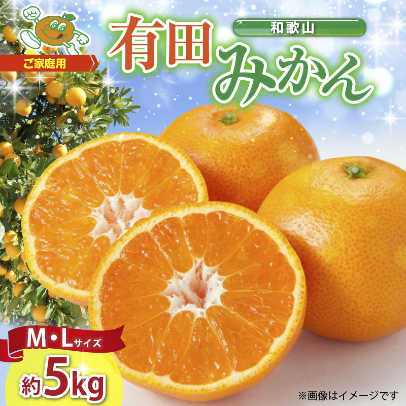 ZJ6083_縺泌ョカ蠎ュ逕ィ縲蜥梧ュ悟アア 譛臥伐縺ソ縺九s 邏5kg (M縲´繧オ繧、繧コ)縲先ケッ豬逕コ縲