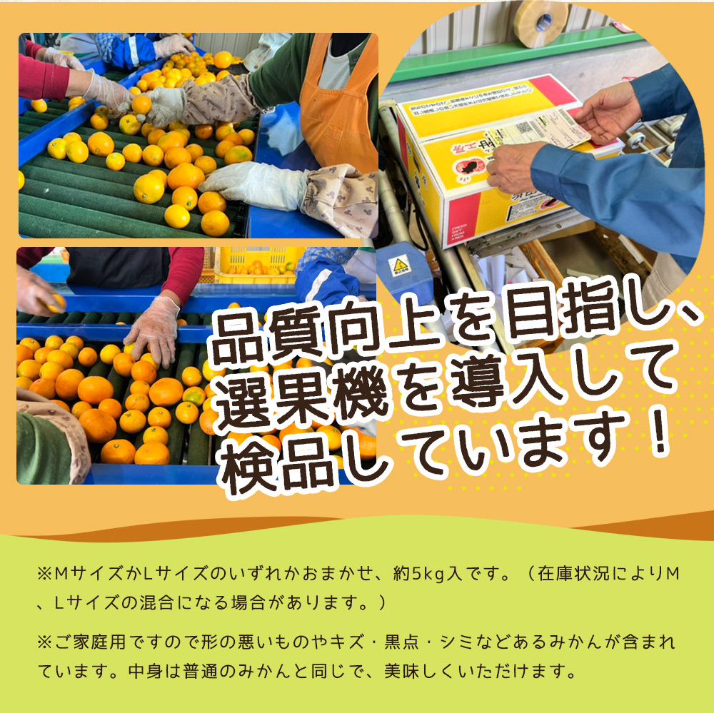 ZJ6083_縺泌ョカ蠎ュ逕ィ縲蜥梧ュ悟アア 譛臥伐縺ソ縺九s 邏5kg (M縲´繧オ繧、繧コ)縲先ケッ豬逕コ縲