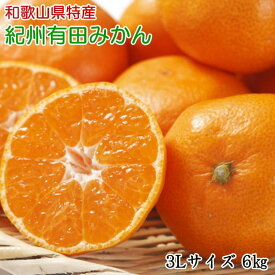 ZD6395_【2026年先行予約】【秀品】 和歌山 有田みかん 6kg（3Lサイズ・秀品）