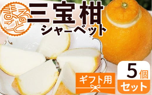 ZP6009_GFTn_【ギフト用】まるごと 三宝柑 シャーベット 5個 セット