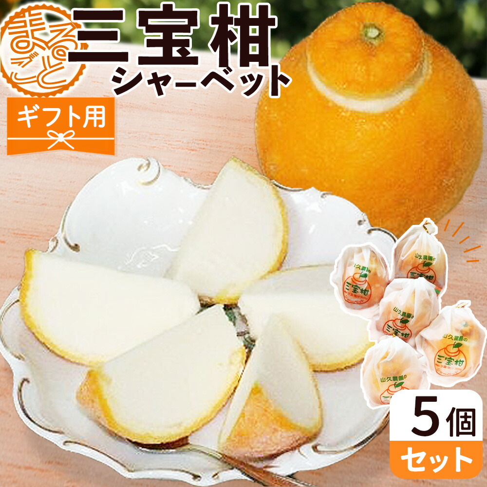 ZP6009_GFTn_【ギフト用】まるごと 三宝柑 シャーベット 5個 セット