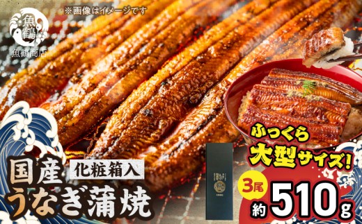 G7311_大型サイズ ふっくら柔らか 国産うなぎ 蒲焼き 3尾 (約6人前) 化粧箱入