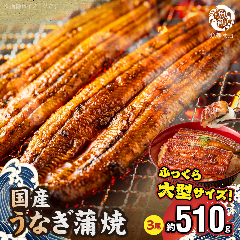 G7311_大型サイズ ふっくら柔らか 国産うなぎ 蒲焼き 3尾 (約6人前) 化粧箱入