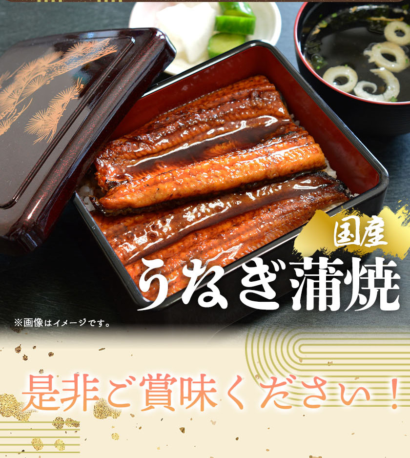 G7311_螟ァ蝙九し繧、繧コ 縺オ縺」縺上i譟斐i縺 蝗ス逕」縺縺ェ縺 闥イ辟シ縺 3蟆セ (邏6莠コ蜑) 蛹也イァ邂ア蜈・